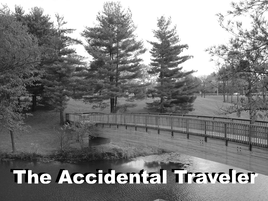 The Accidental Traveler